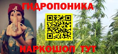 PSILOCYBIN Канаш