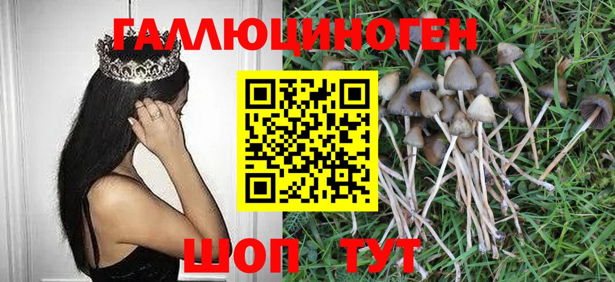 Псилоцибиновые грибы мухоморы Чайковский