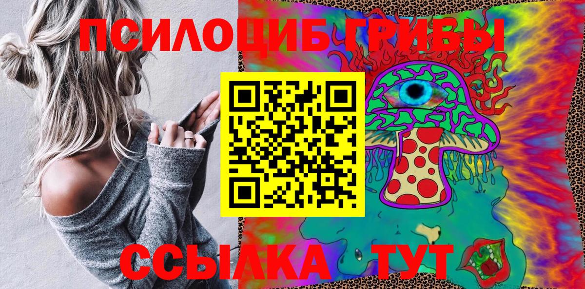 Чайковский  Псилоцибиновые грибы Psilocybine cubensis  Вход с VPN 